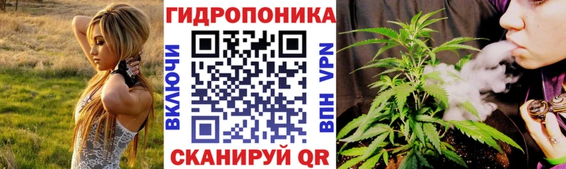 Конопля Балтийск