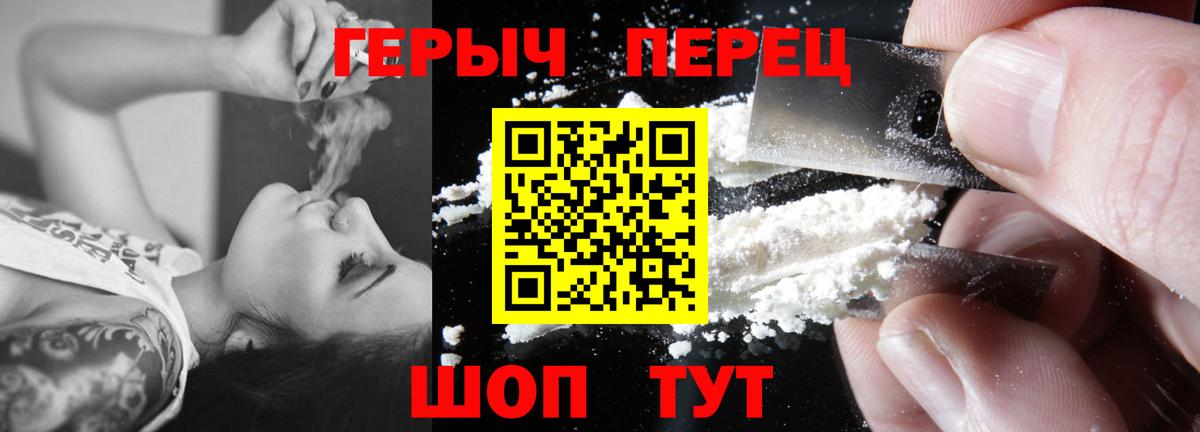 ГЕРОИН хмурый Балтийск