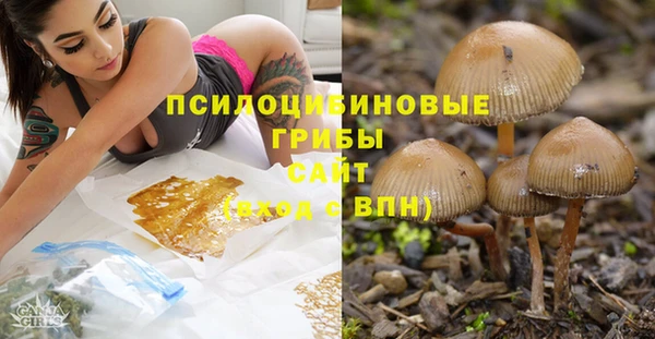дмт Снежногорск