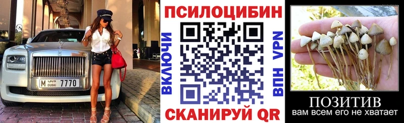Галлюциногенные грибы Psilocybe  как найти наркотики  Балтийск 