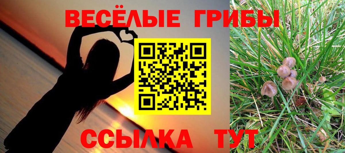 где найти наркотики  Вход с VPN  Псилоцибиновые грибы мухоморы  Балтийск  Псилоцибиновые грибы прущие грибы 