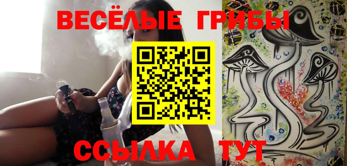 Псилоцибиновые грибы мухоморы Балтийск